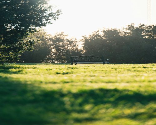 meditation and relaxation in calm morning sunlight